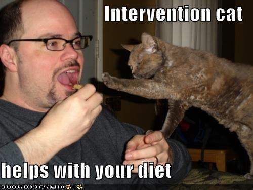 intervention-cat (1)