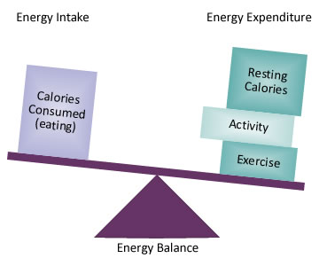 negativni energetski bilans - kada trošimo više nego što unosimo
